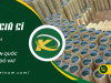 Băng keo đóng hàng giá sỉ – Cung cấp tận gốc, giá cạnh tranh