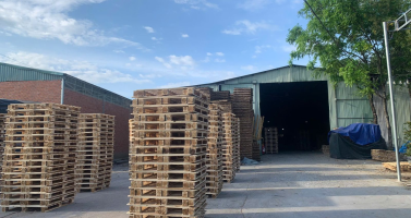 Pallet Gỗ Các Loại Giá Tốt, Đủ Kích Thước Cho Kho Hàng