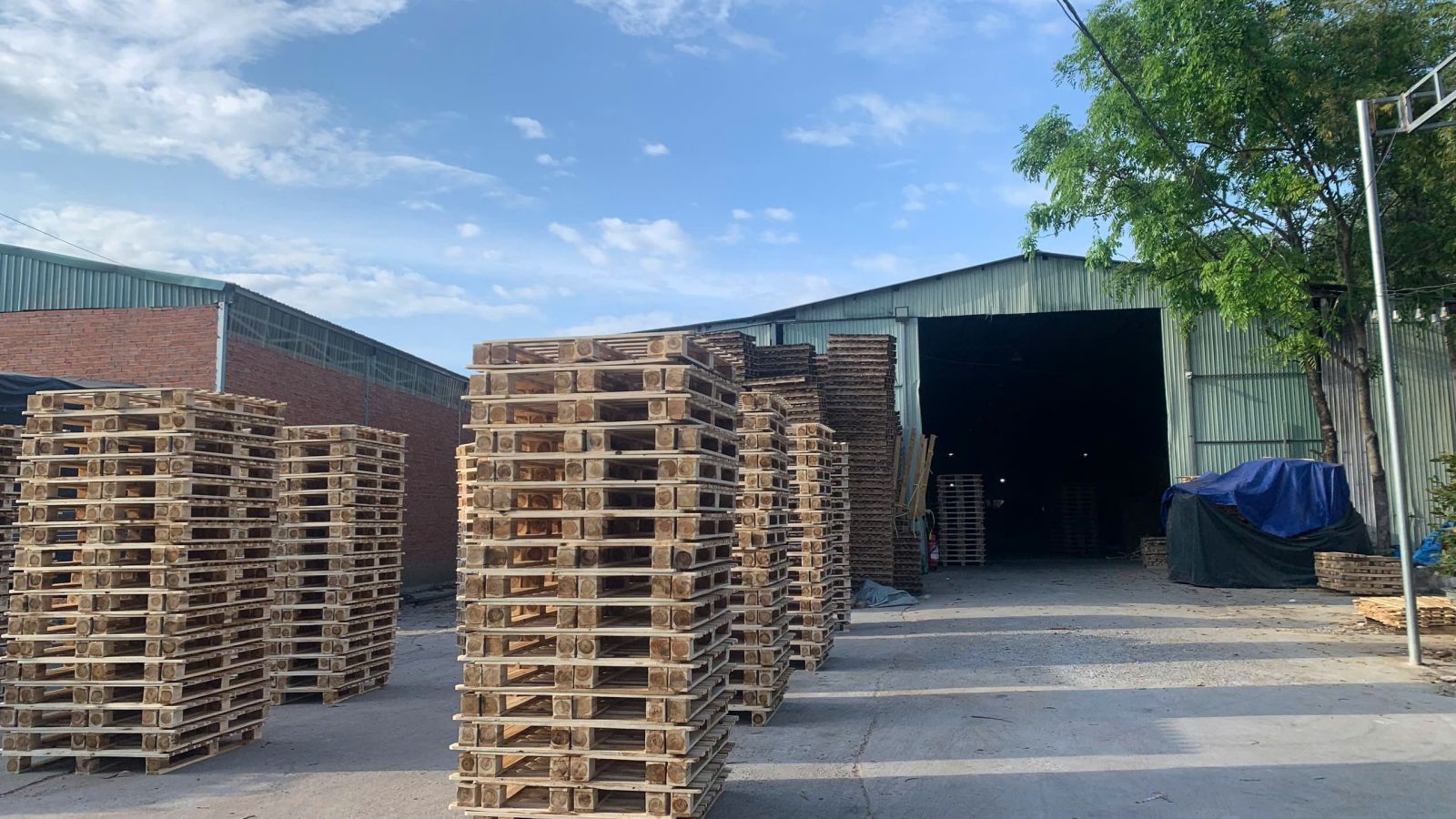 pallet gỗ các loại
